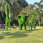 Dilip Dutta - @dilipdutta357 - Instagram