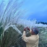 Dilip Ghosh - @dilipghosh64 - Instagram