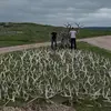 Dylan Foster - @dylan.foster472 - TikTok