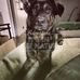 Dillan Lee - Facebook
