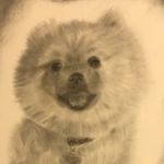 Dillon Barber - @dillon_barber - Instagram