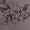 Dillon_barber - @dillon_barber - TikTok