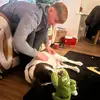 dillon.barton22 - @dillon.barton22 - TikTok