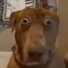 Dillon Bateman - @d.bateman11 - TikTok