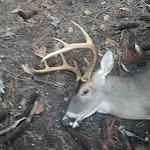 Dillon Bishop - @dillonbishop3 - Instagram