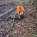 Dillon Bishop - Facebook