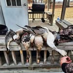 Dillon Bishop - @3dillonbishop - Instagram