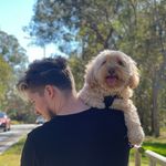 Dillon Bradshaw - @dillonbradshaw - Instagram