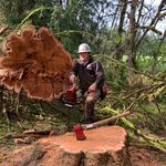 Dillon Brown - @dillonbrown10 - Instagram