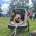 Dillon Brown - Facebook