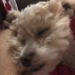 Dillon Burns - @dill_burns - Instagram