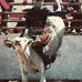 Dillon Chavez - Facebook