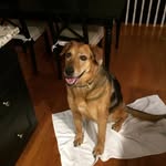 Dillon Conrad - @dillongaming12 - Instagram