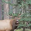 Dillon_Cooper - @dillon_cooper - TikTok