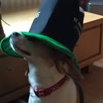 Dillon Cooper 🐸🐸 - @dillon.cooper.46 - Instagram