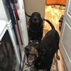 Dillon_Cooper_Deacon - @dillon_cooper_deacon - TikTok