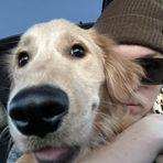 Dylan Dorsey - Facebook