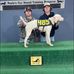 Dylan Driver - Facebook