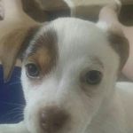 dillon farmer - @farmerdillon5 - Instagram