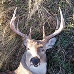 Dillon Field - Facebook