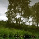 Dillonfield - @dillonfieldres - Instagram