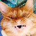 Dillon Fournier - Facebook