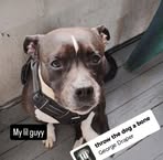Dylan Gunter - Facebook