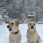 Dillon Grady - Facebook