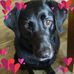 Dillon Griffin - Facebook