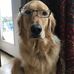 Dillon Griffin - Facebook