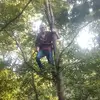 dillonharrell585 - @dillonharrell585 - TikTok