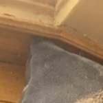 dillon Hines - @dills_coghs - Instagram