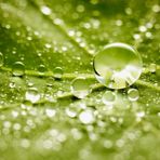 Dillon Hodges - Facebook