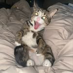 Dillon Hughes - @dmh4991 - Instagram