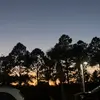 jackson - @jackson.dillon - TikTok