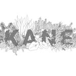 Dillon Kane - @kane.scapes - Instagram