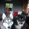 Kane Dillon - @kane.dillon - TikTok