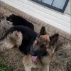 dejuan_kochdillon829 - @dejuan_kochdillon - TikTok