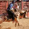Dillon Lynn - @dillonlynn1234 - TikTok