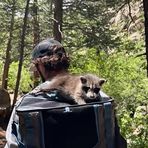 Dillon McCoy - Facebook