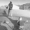 dillonmcneilly - @dillonmcneilly - TikTok