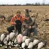 Dillon Miller 🦆 - @dillonmiller0 - TikTok