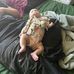 Dillon Moore - Facebook