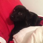 Dillon Morrow - @dillon_only - Instagram