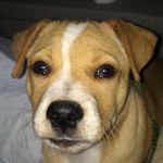 Dillon Nelson - @dillon_nelson06 - Instagram