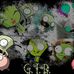 Dillon Olmstead - Facebook