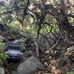 Dillon Olson - Facebook