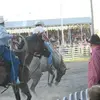 dillonolson49 - @dillon.olson - TikTok