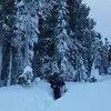 Dillon Orr - @user619613087 - TikTok