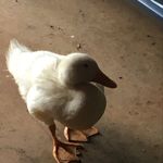 Dillon Patterson - @dillonpatterson76 - Instagram